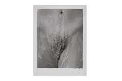 Untitled by Charles Roff, ink, offered Jan 2023