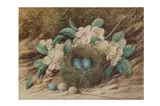 Untitled by William Cruikshank, watercolour and bodycolour, offered Jan 2023