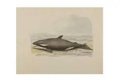 Untitled by William Samuel Howitt, watercolour, offered Jan 2023
