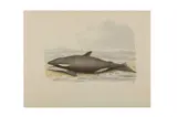 Untitled by William Samuel Howitt, watercolour, offered Jan 2023