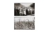 Untitled by Willis W. Vail, print, offered Nov 2022