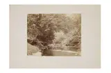 Untitled by Thomas Annan, pencil, offered Nov 2022
