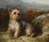 Ready for action by Thomas Earl, oil, sold May 2021