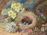 Still lives with birds nest and fruitOil on canvas, a pairBoth signed (lower right); further signed and dated 1896 (verso)Each 15.5 x 20.5cm (6 x 8 in.) (2) by Vincent Clare, 1896, oil, offered May 2021