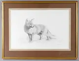 The fox Pencil Signed 32 x 49.5cm (12½ x 19¼ in.) Label to reverse for Malcolm Innes Gallery; and an oil on canvas study of a magpie by "Bates 54 by John Edwards, Pencil, offered May 2021