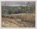 Through The Wheat by Peter Thomas, drawing, offered May 2021