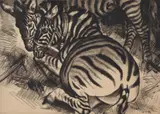 ZebrasEtching, 1930 Signed in pencil Plate: 25 x 35cm (9¾ x 13¾ in.)Condition Report: Executed on J by Laura Knight, pencil, sold Mar 2021