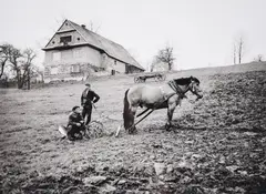 Plough, Man, Kij Malopolska, Poland, 1985Photographic print Signed in pen and editioned 5/10 Image: 26 x 35.5cm (10 x 13¾ in.) by Robert Dowling, print, offered Mar 2021