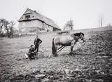 Plough, Man, Kij Malopolska, Poland, 1985Photographic print Signed in pen and editioned 5/10 Image: 26 x 35.5cm (10 x 13¾ in.) by Robert Dowling, print, offered Mar 2021