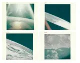 Apollo 7 was the first crewed flight of the Apollo programme11 by Earth from orbit, photograph, offered Mar 2021