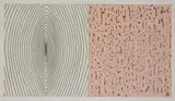 No Man's Land by Peter Sjöblom, Etching with screenprint and woodblock in colours, sold Mar 2021