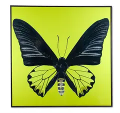 Butterfly 2 by Dmitry Oskin, print, sold Jan 2021