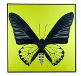 Butterfly 2 by Dmitry Oskin, print, sold Jan 2021