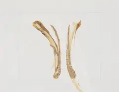 Untitled by Sandra Blow, Mixed media with sand collage on paper, offered Jan 2021