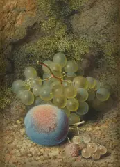 Still life of grapes and a plum by Frederick Thomas Baynes, Watercolour, sold Jan 2021