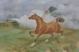 Horse affrighted by Basil James Nightingale, 1903, Watercolour, offered Jan 2021