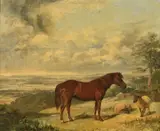Portrait of a horse in a landscape by George Bouverie Goddard, oil, offered Nov 2020