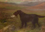 Champion High Legh Blarney born 1907 by Maud Earl, oil, offered Nov 2020