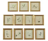 A set of eleven floral studiesWatercolour Various sizes, the largest 16 x 15.5cm (6 1/4 x 6 1/8in.) (11) by Emily Stackhouse, watercolor, sold Nov 2020