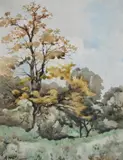 A tree studyWatercolourSigned and dated 1860 lower left26 x 20cm (10 x 7¾ in.) by Henri Harpignies, 1860, watercolor, sold Nov 2020