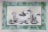 The Fly by Graham Sutherland, etching, sold Apr 2022