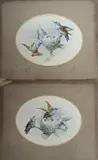 Hummingbirds beside nests by G. Coleman, watercolor, sold Mar 2022