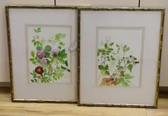 Blackberries, hips, sweet briar and roses by Kristen Rosenberg, watercolour, sold Mar 2022