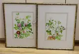 Blackberries, hips, sweet briar and roses by Kristen Rosenberg, watercolour, sold Mar 2022