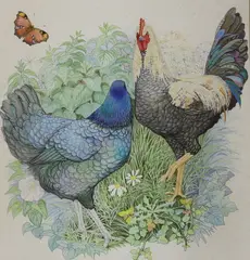 Untitled by Kristen Rosenberg, watercolour, offered Mar 2022