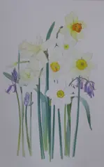 Narcissi and bluebells by Kristen Rosenberg, watercolour, sold Mar 2022