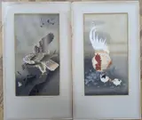 Study of chickens and an eagle, 34 x 18cm, unframed by Ohara Koson, print (other), sold Feb 2022