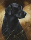 Portrait of a Black Labrador by John Trickett, oil on canvas, sold Feb 2022