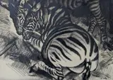 Zebras by Laura Knight, etching, sold Jan 2022