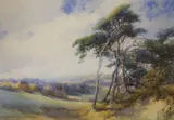 Landscape with Pinetrees in the foreground by Charles Harrington, watercolour, sold Jan 2022