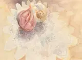 Each by Shirley Chalmers, watercolour, offered Aug 2023