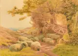 British, sheep resting in a sunlit glade at the edge of a wood by Henry Birtles, 1874, watercolour, offered Aug 2023