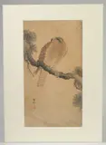 HAWK ON SNOW; an early 20th century original Japanese woodblock print by Ohara Koson, print, sold Jun 2023