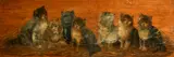 A group of seven kittens by Bessie Bamber, oil, offered May 2023