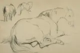 A horse lying down and separate studies of the horse in different by George Jones, watercolor, sold May 2023
