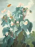 The Temple of Flora by Robert John Thornton, print (other), sold May 2023