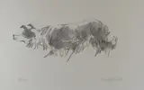 Print - Mott the sheepdog by Kyffin Williams Ra limited edition, print, sold Mar 2020