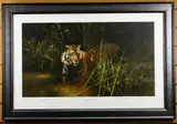 Coloured print - portrait of a hunting tiger by David Shepherd limited edition, print, sold Jan 2020