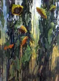 Sunflowers I by Bryan Jones, acrylic on paper, sold Nov 2019