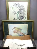 A woodpecker by Leighton Moss limited edition print, print, sold Oct 2019