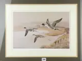 Pintails at Maltraeth by Philip Snow coloured limited edition print, print, offered Oct 2019