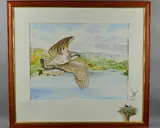 Osprey in flight over a loch with a fish in it's talons by Martin C. Naughton, watercolour, sold Jun 2018