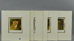 six limited edition prints, 'Lion Cub', 'Leopard Cub', ' by David Shepherd, pencil, sold Jun 2018