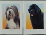 Black Newfoundland by Nigel Hemming, pencil, sold Jun 2018