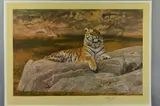 Quizzical quadruped by Anthony Gibbs, print, sold Jun 2018