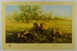 'FIRST LIGHT AT SAVUTI', a limited edition print of Lions by David Shepherd, print, sold Jun 2018